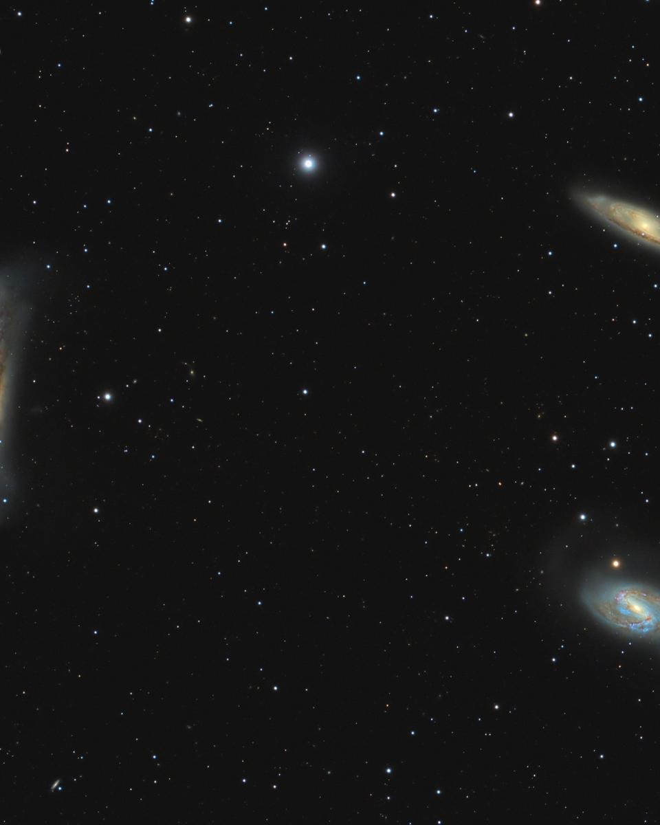 Leo Trio