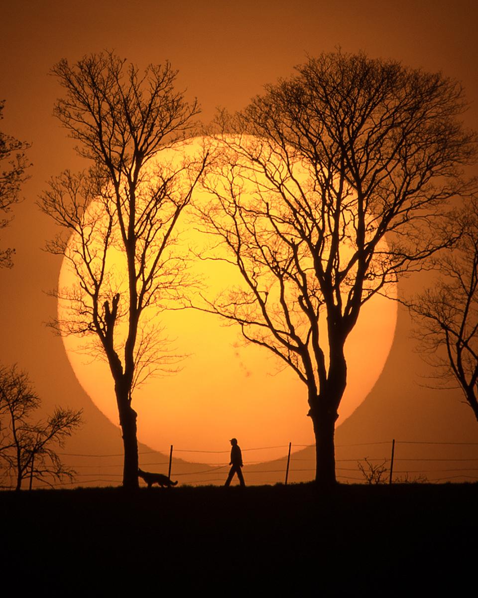 Man, Dog, Sun