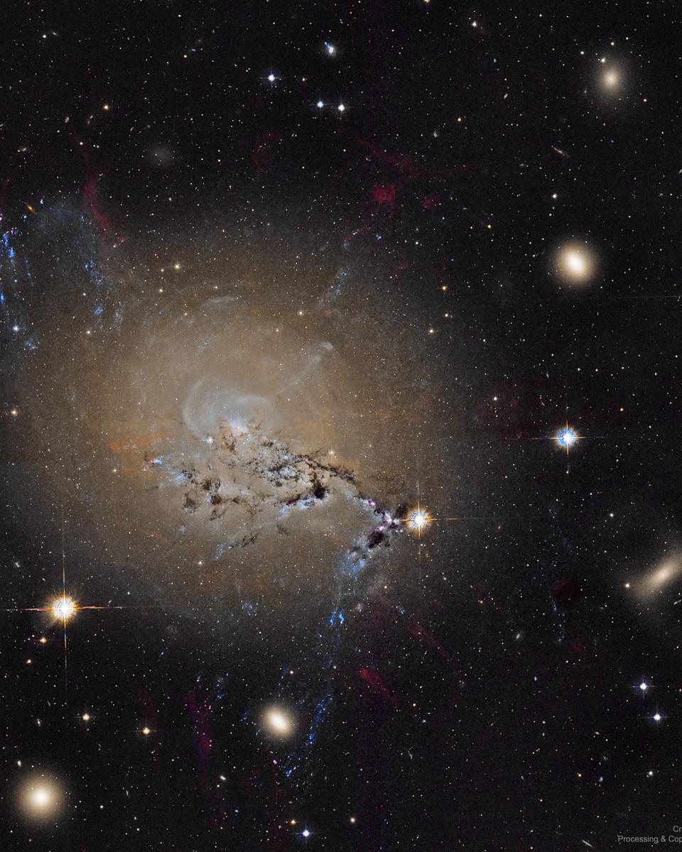 Filaments of Active Galaxy NGC 1275