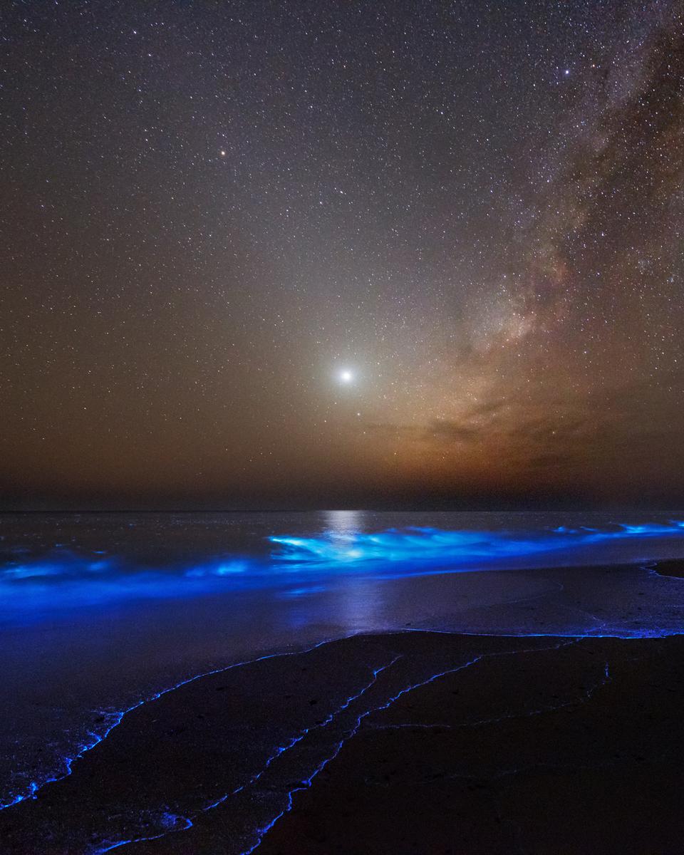 Night Glows