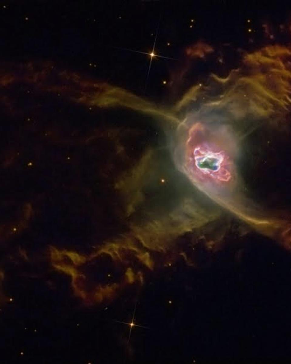 The Red Spider Planetary Nebula