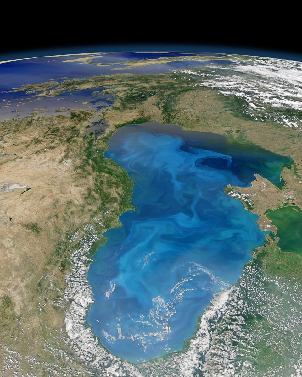 A White Battle in the Black Sea