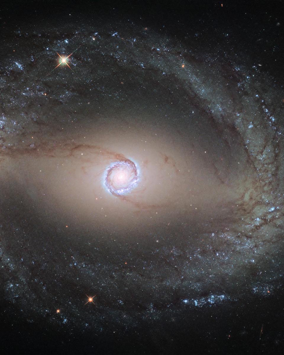 Spiral Galaxy NGC 1512: The Inner Ring