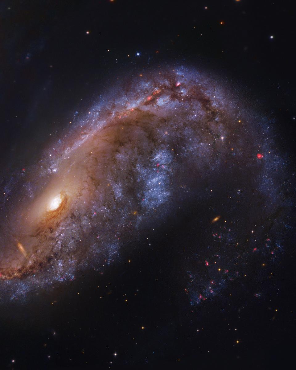NGC 2442: Galaxy in Volans