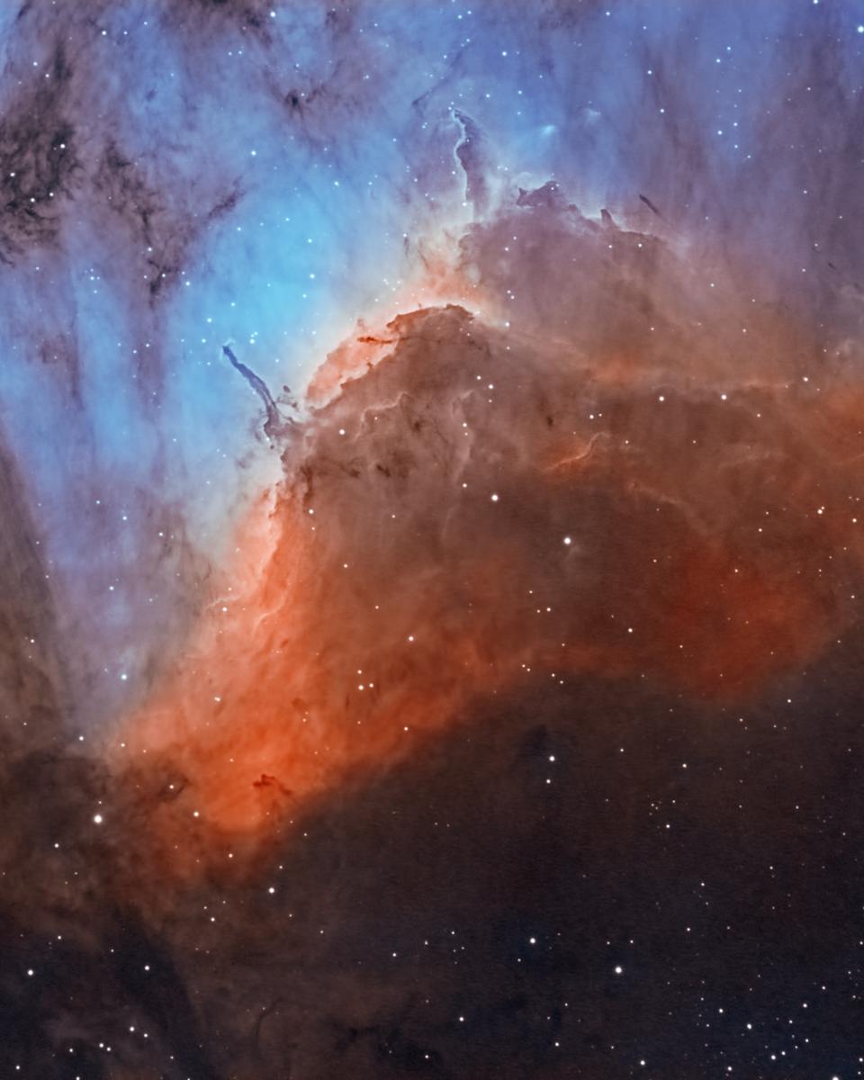 Pelican Nebula Close-up