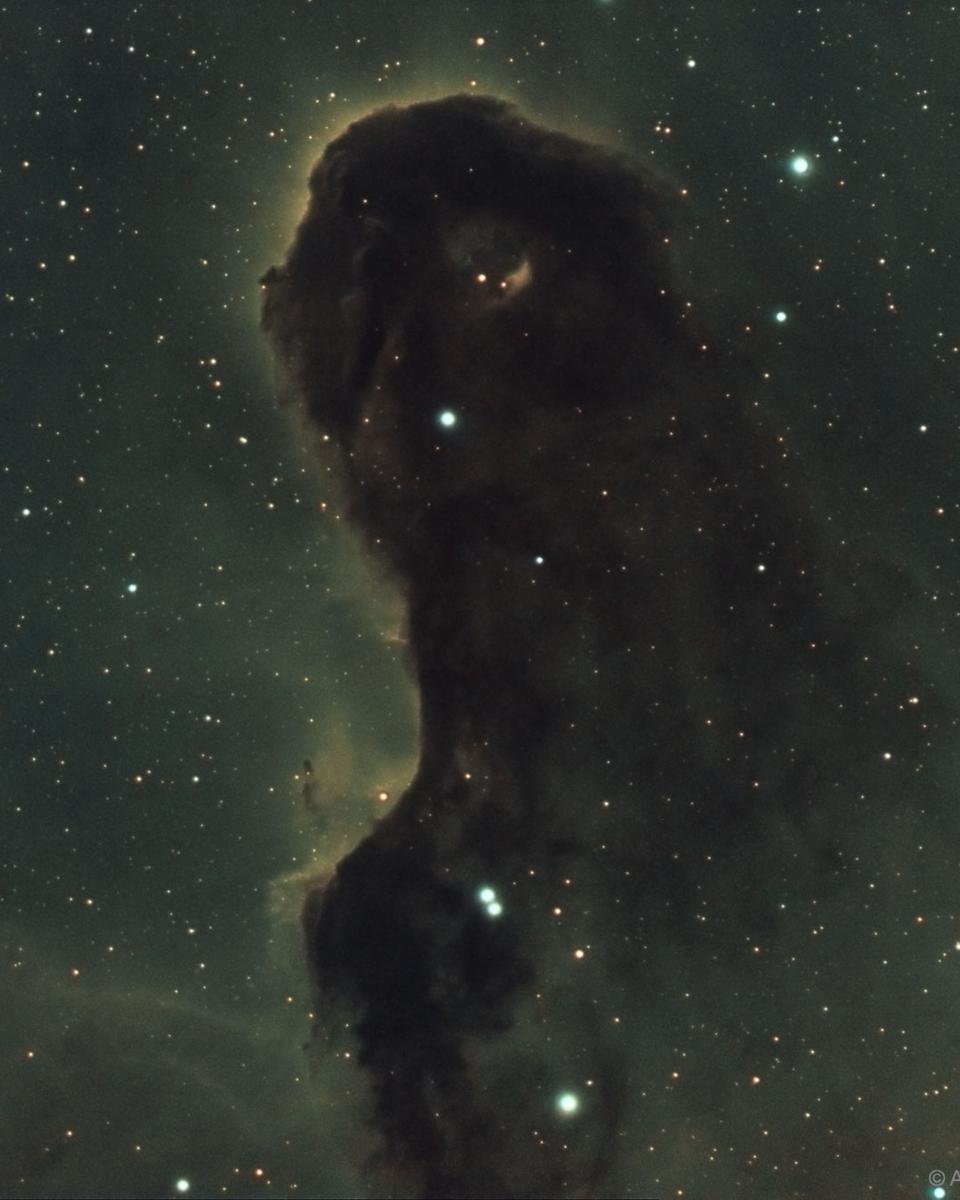 The Dust Monster in IC 1396