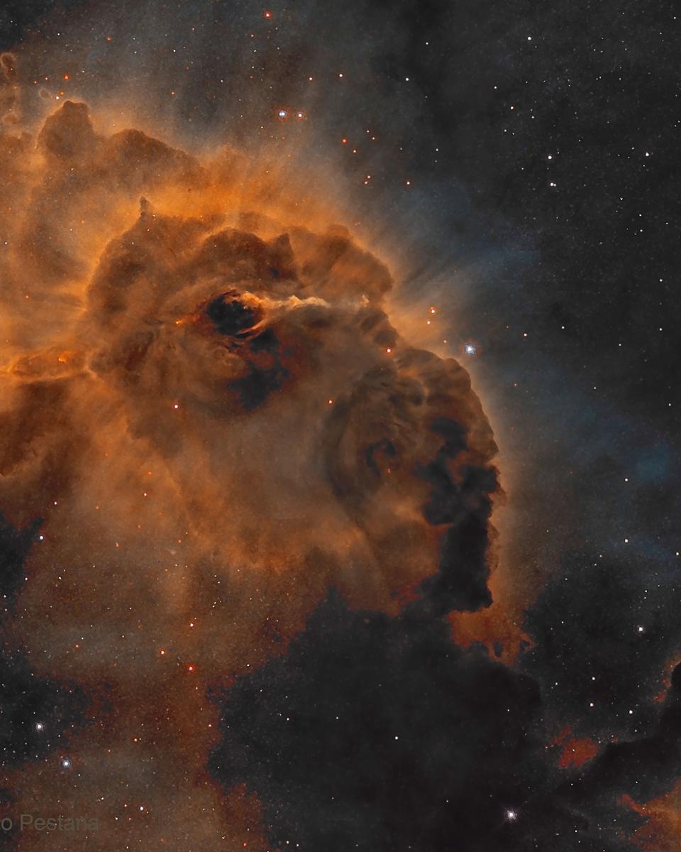 HH 666: Carina Dust Pillar with Jet