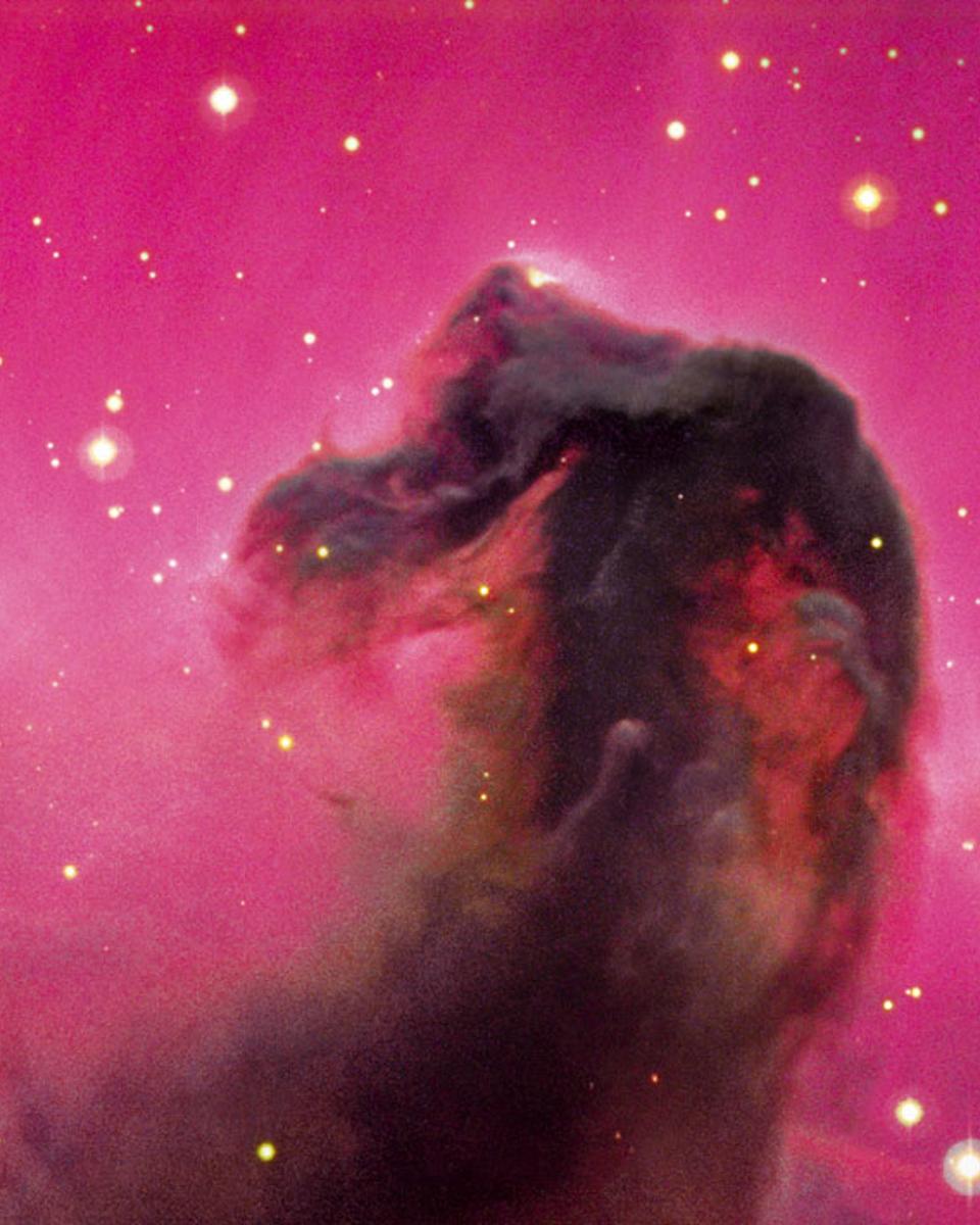 The Horsehead Nebula