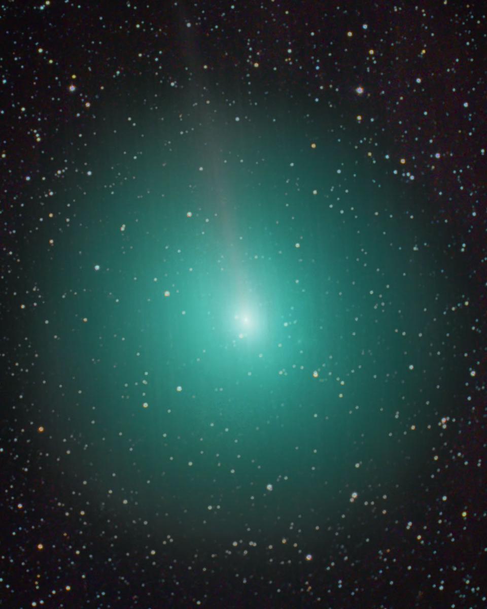 Comet 45P Passes Near the Earth