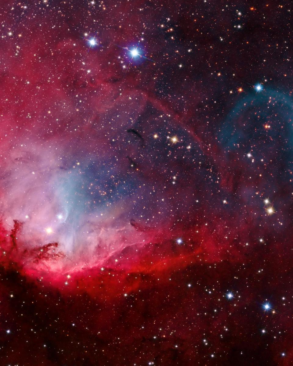 The Tulip and Cygnus X-1
