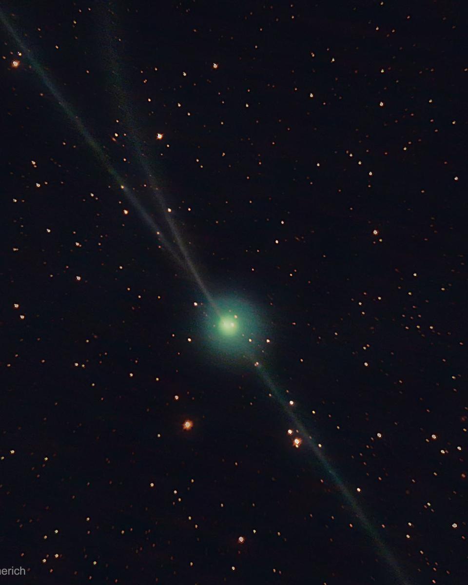 Almost Three Tails for Comet Encke