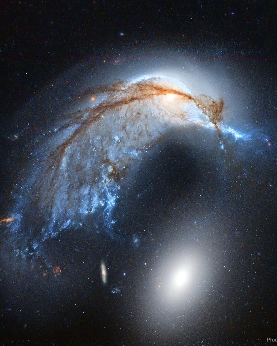 The Porpoise Galaxy from Hubble
