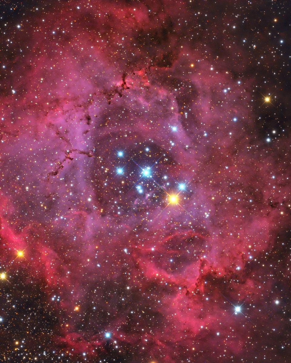 The Rosette Nebula