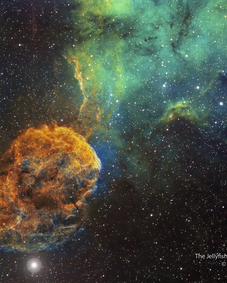 Sharpless 249 and the Jellyfish Nebula
