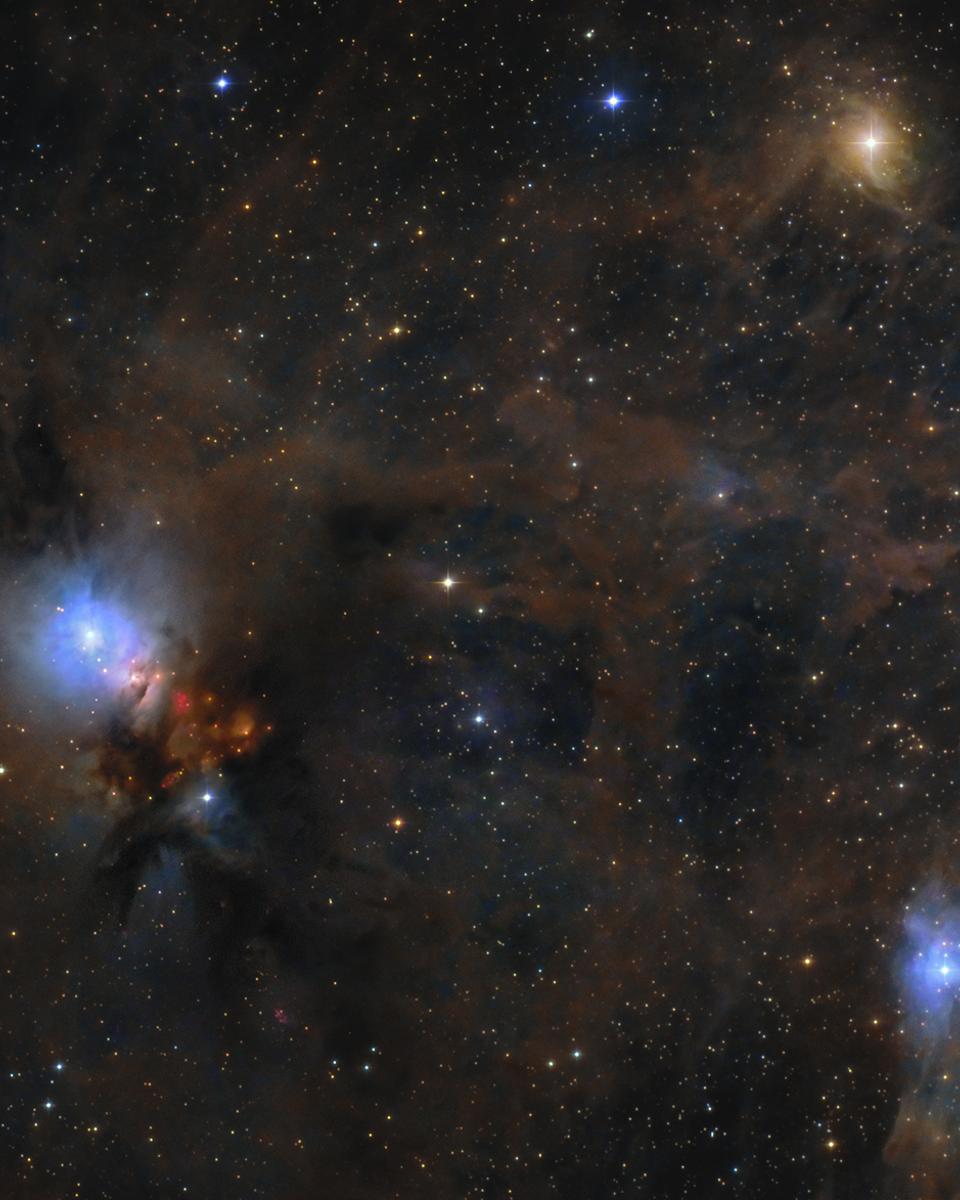 Stardust in the Perseus Molecular Cloud