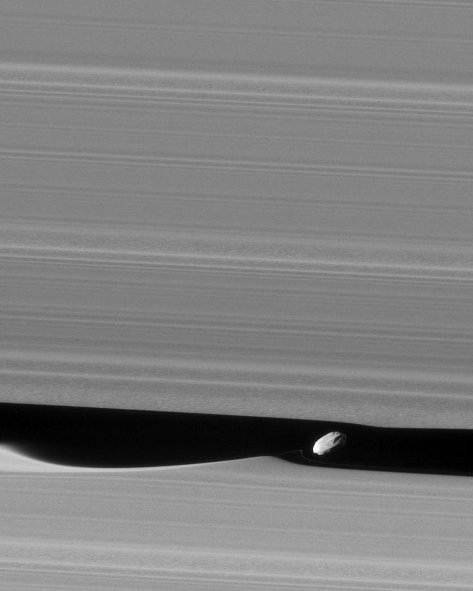 Daphnis the Wavemaker