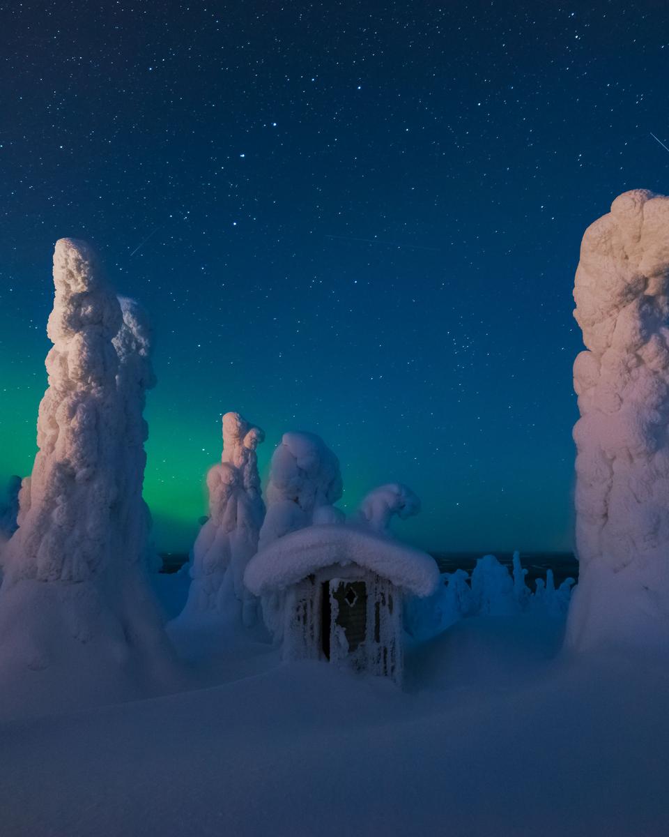 Sentinels of a Northern Sky