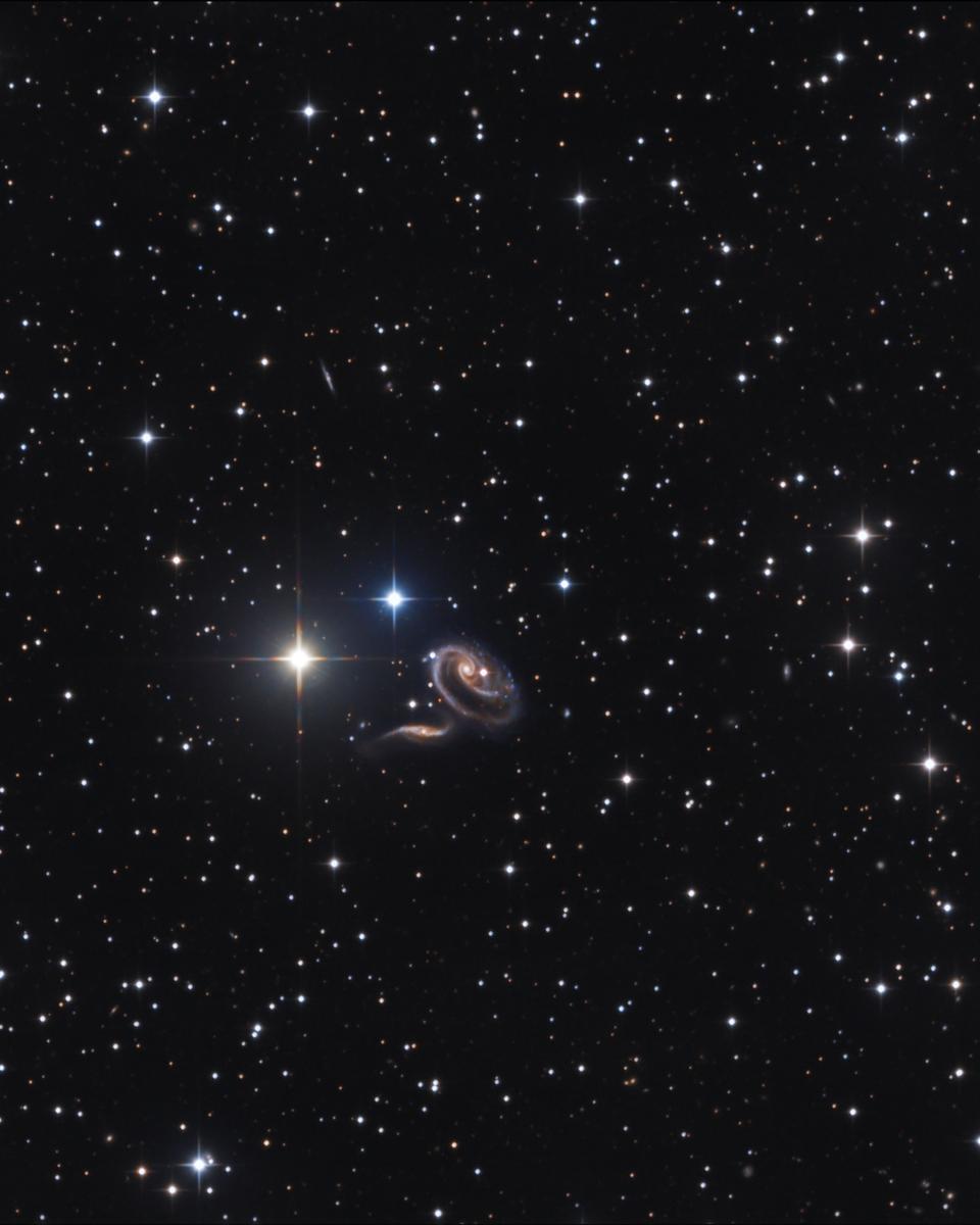 Peculiar Galaxies of Arp 273