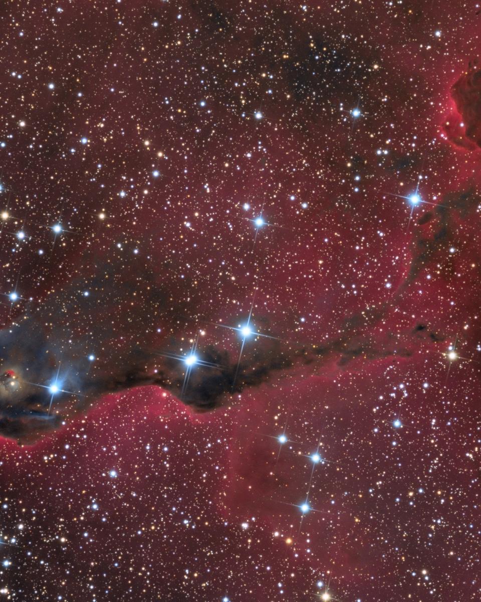 The Elephant's Trunk Nebula in Cepheus