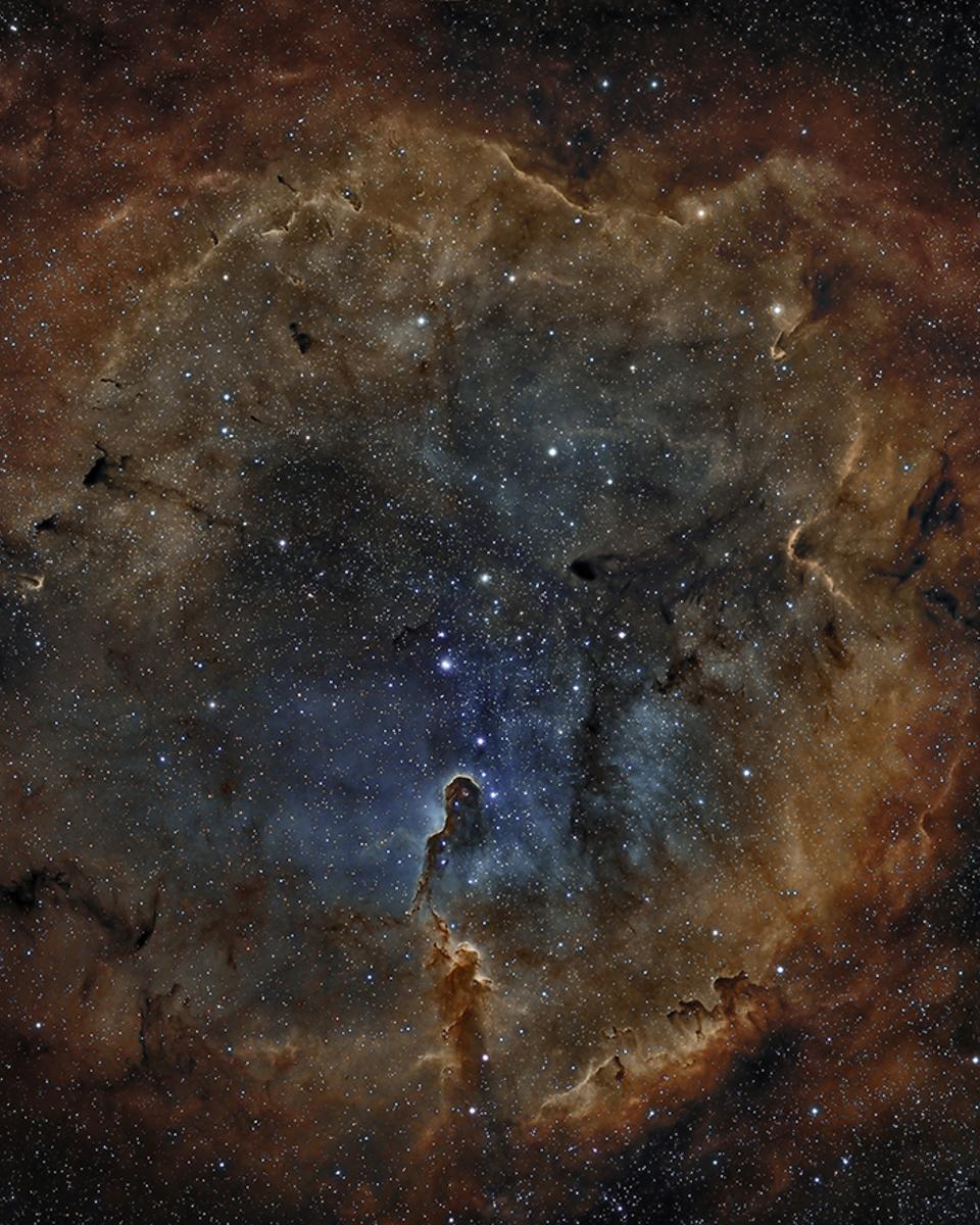 IC 1396: Emission Nebula in Cepheus