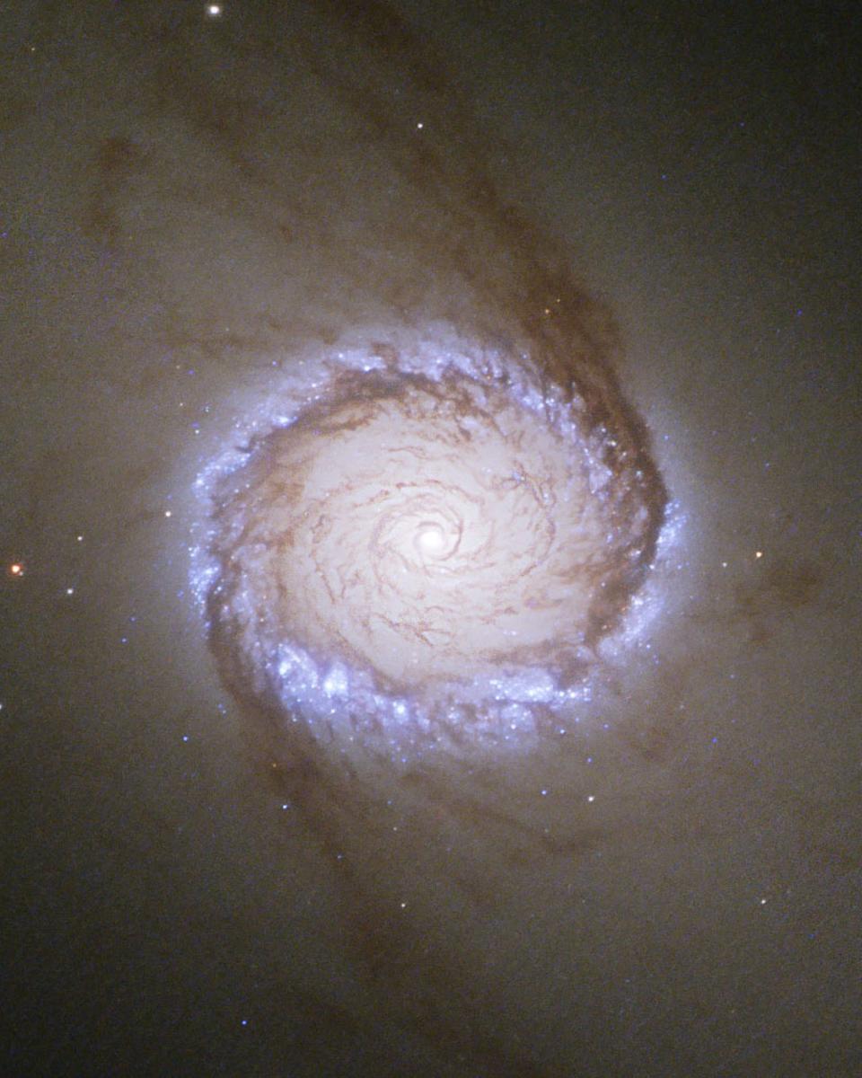 Spiral Galaxy NGC 1512: The Nuclear Ring