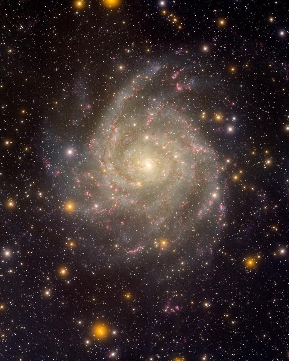 Hidden Galaxy IC 342