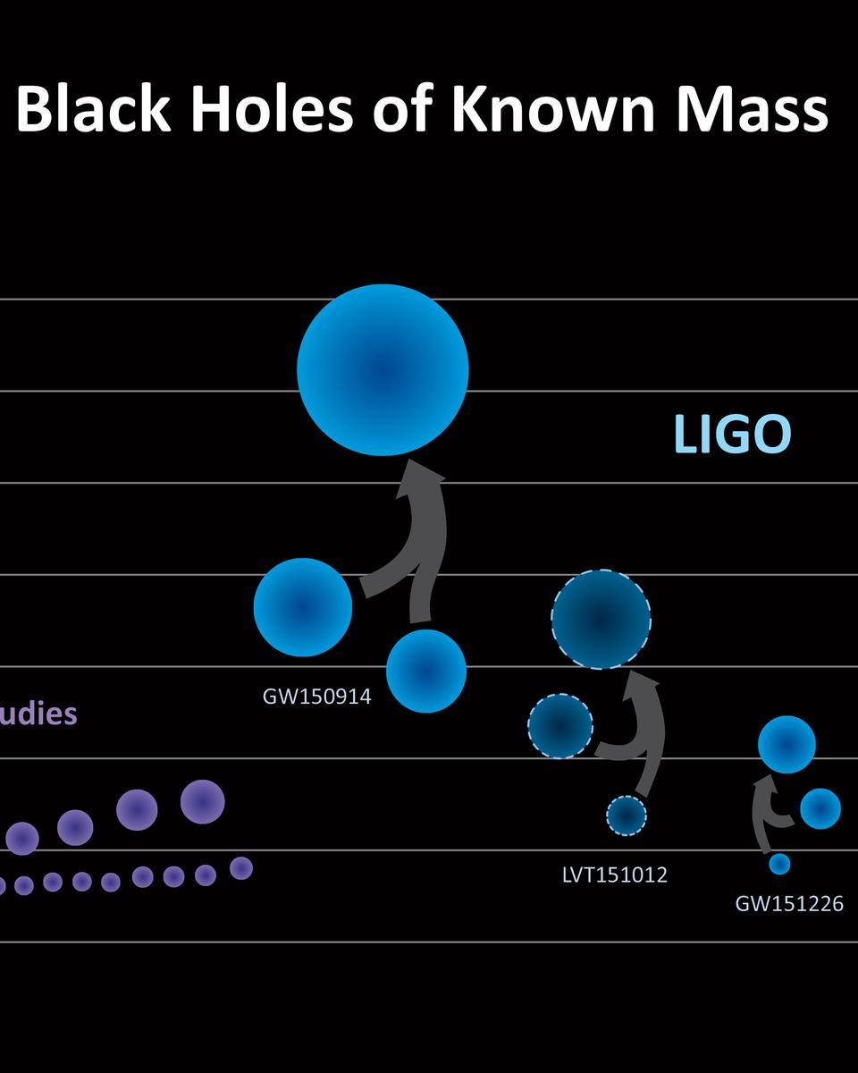 Black Holes of Known Mass