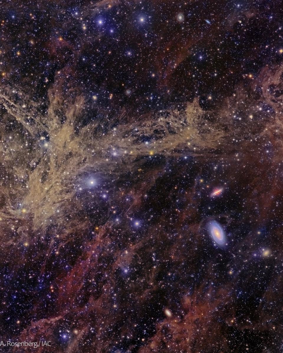 The M81 Galaxy Group through the Integrated Flux Nebula