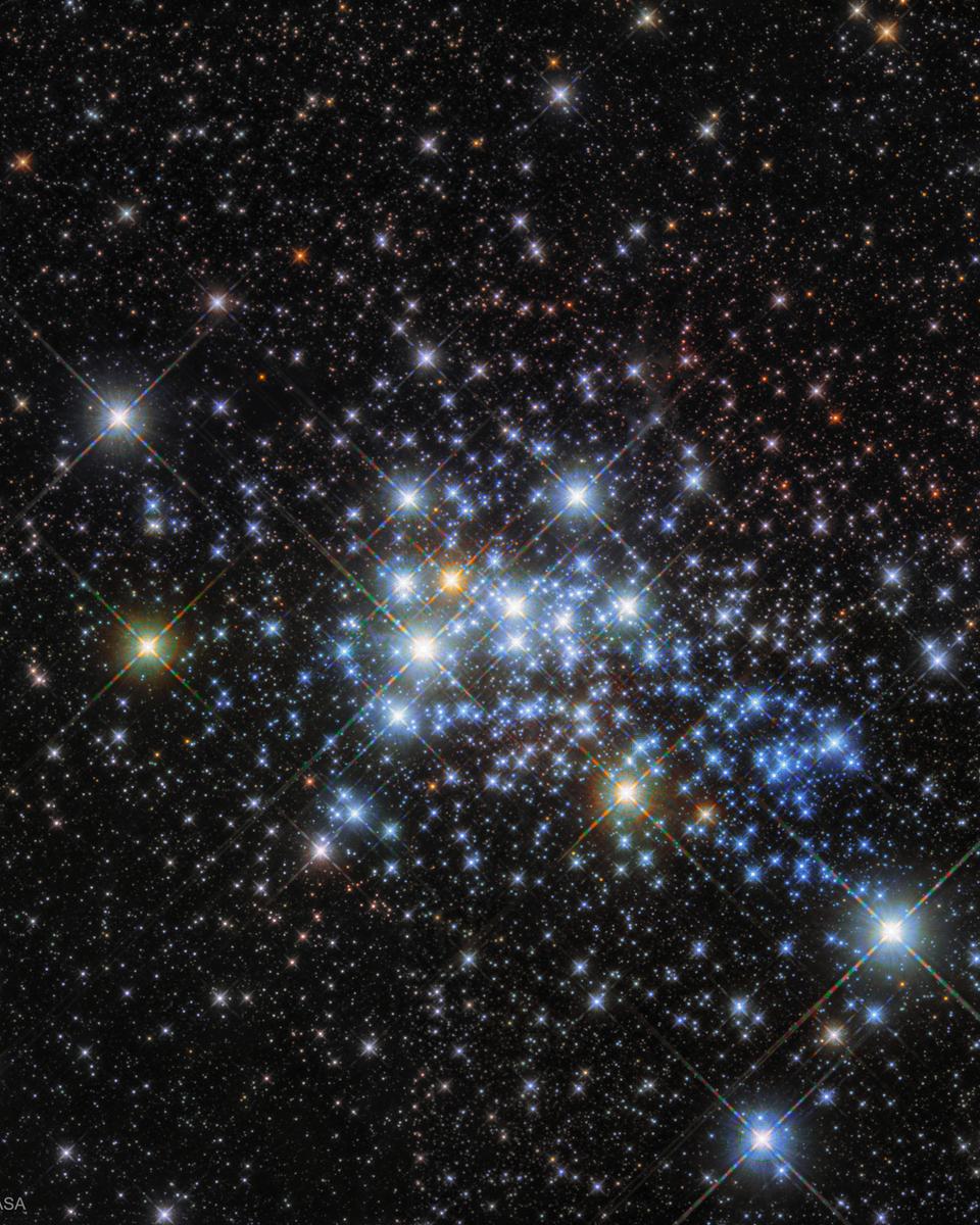 The Massive Stars in Westerlund 1