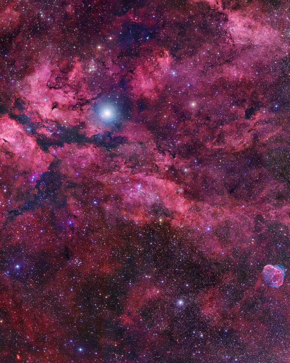 Central Cygnus Skyscape