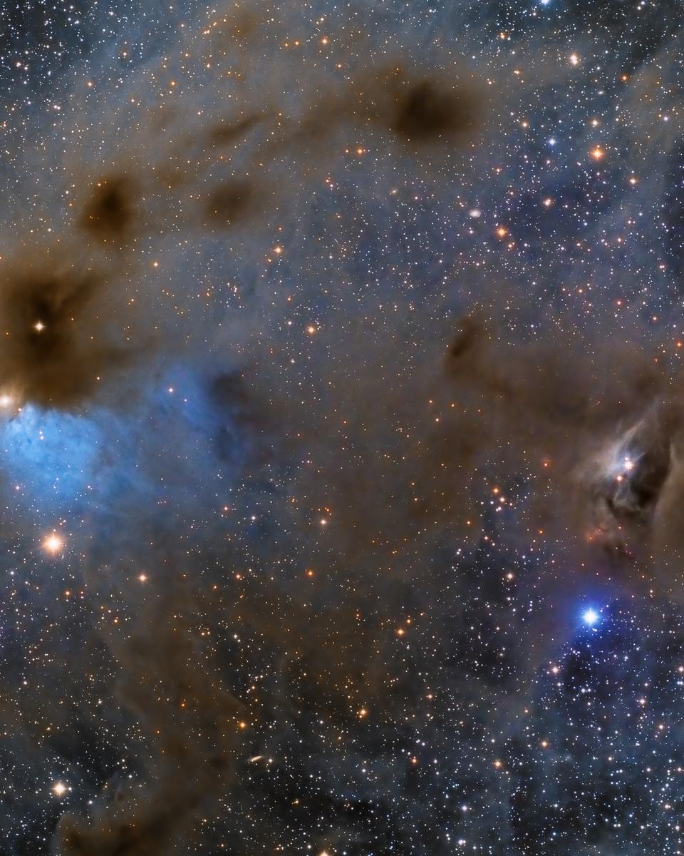 Young Stars and Dusty Nebulae in Taurus