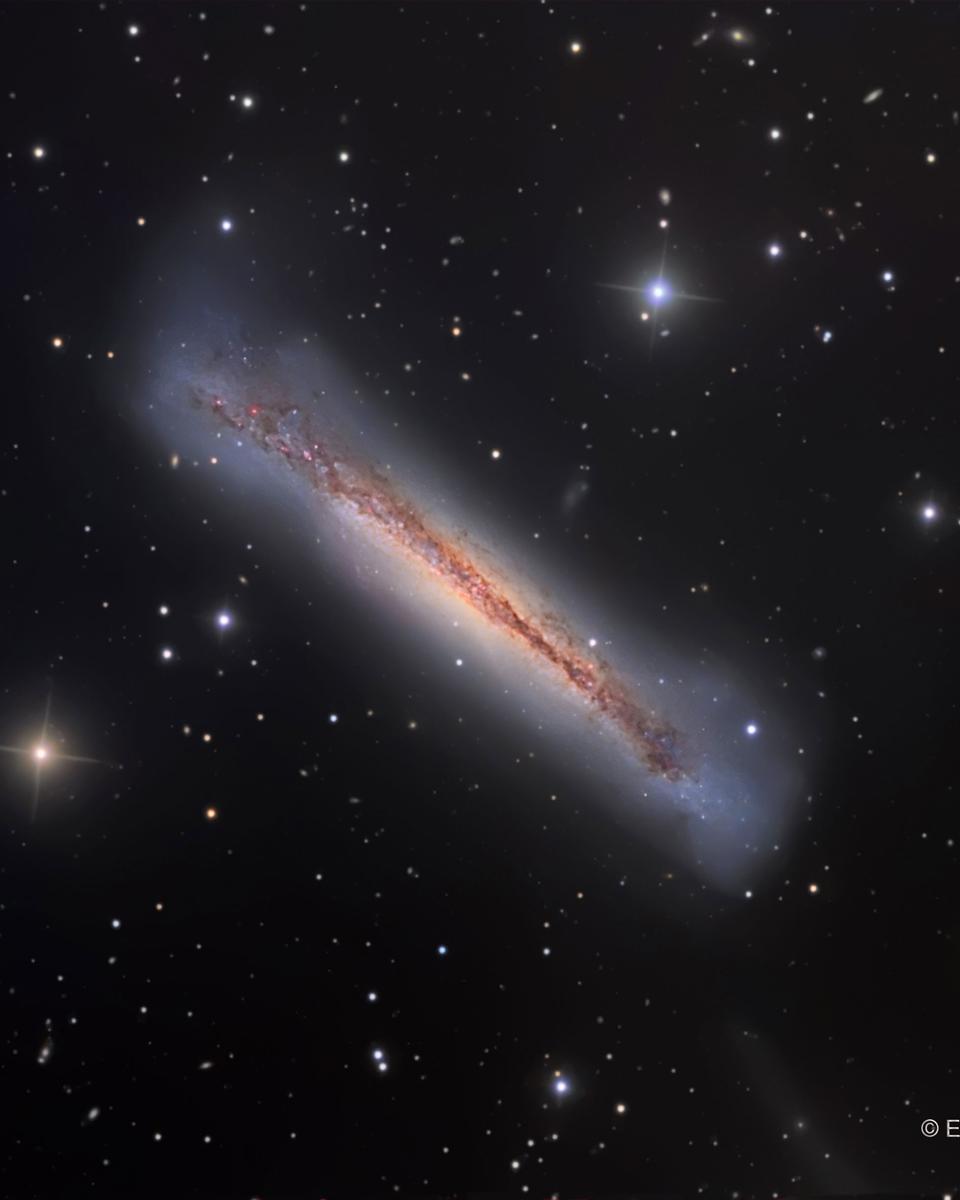 NGC 3628: The Hamburger Galaxy