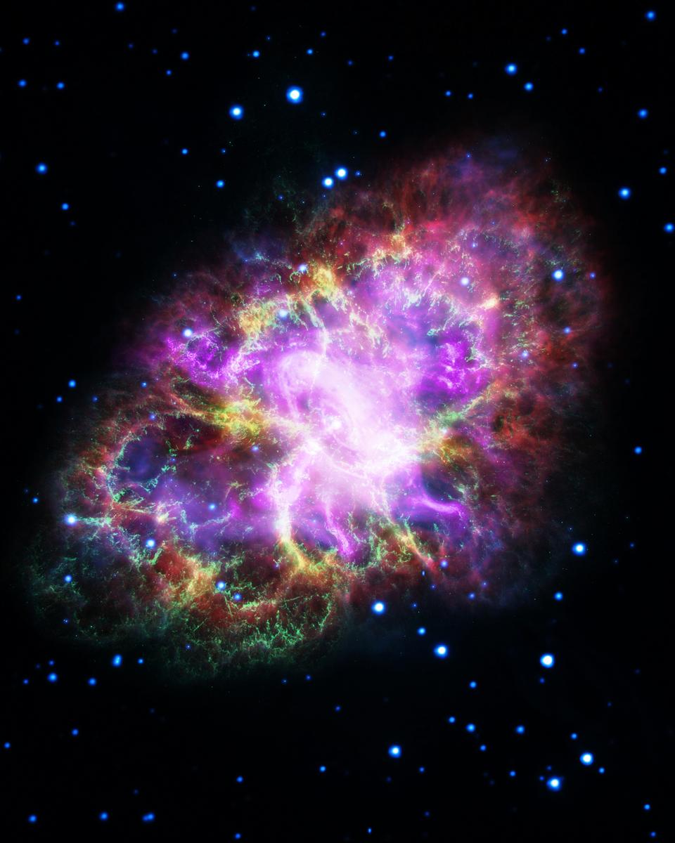 The Multiwavelength Crab