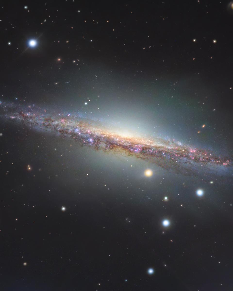 NGC 1055 Close-up