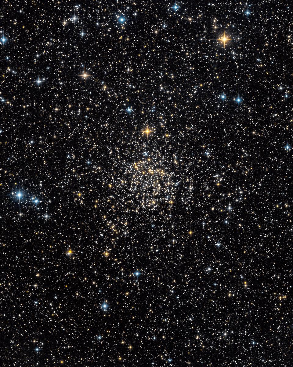 NGC 7789: Caroline's Rose
