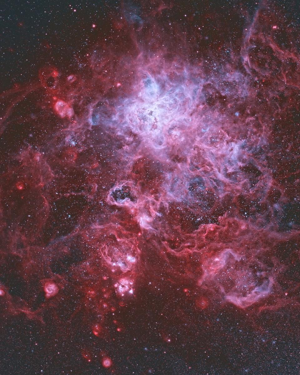 The Tarantula Nebula