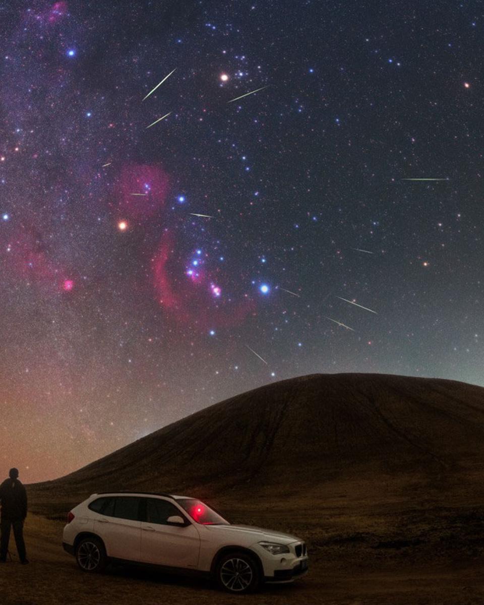 Orionid Meteors from Orion