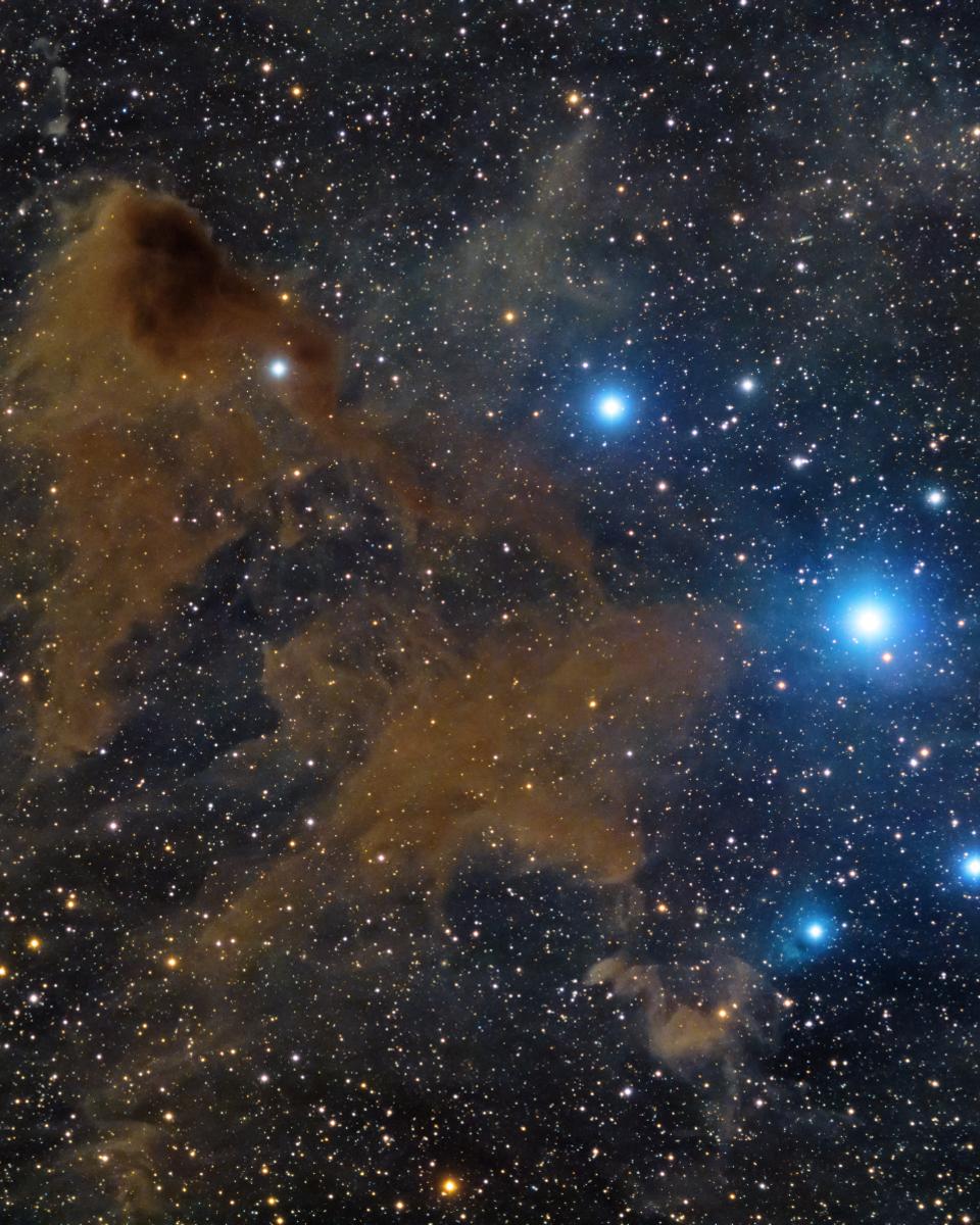 Lynds Dark Nebula 183