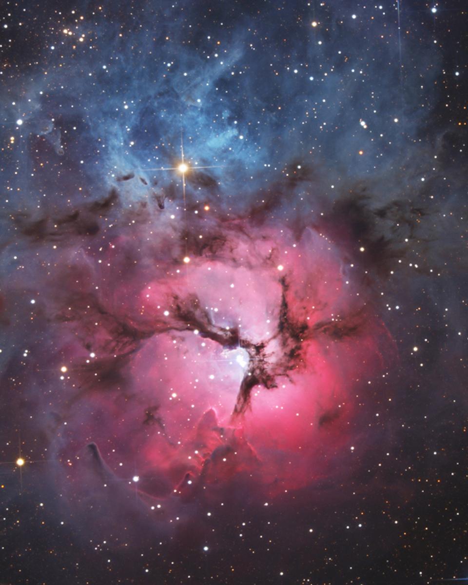 A Beautiful Trifid