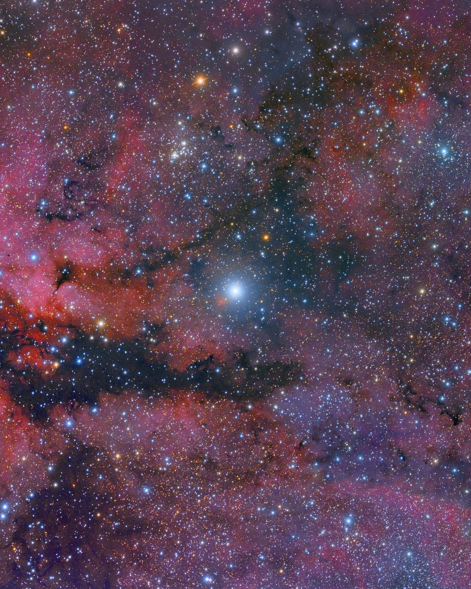 Central Cygnus Skyscape