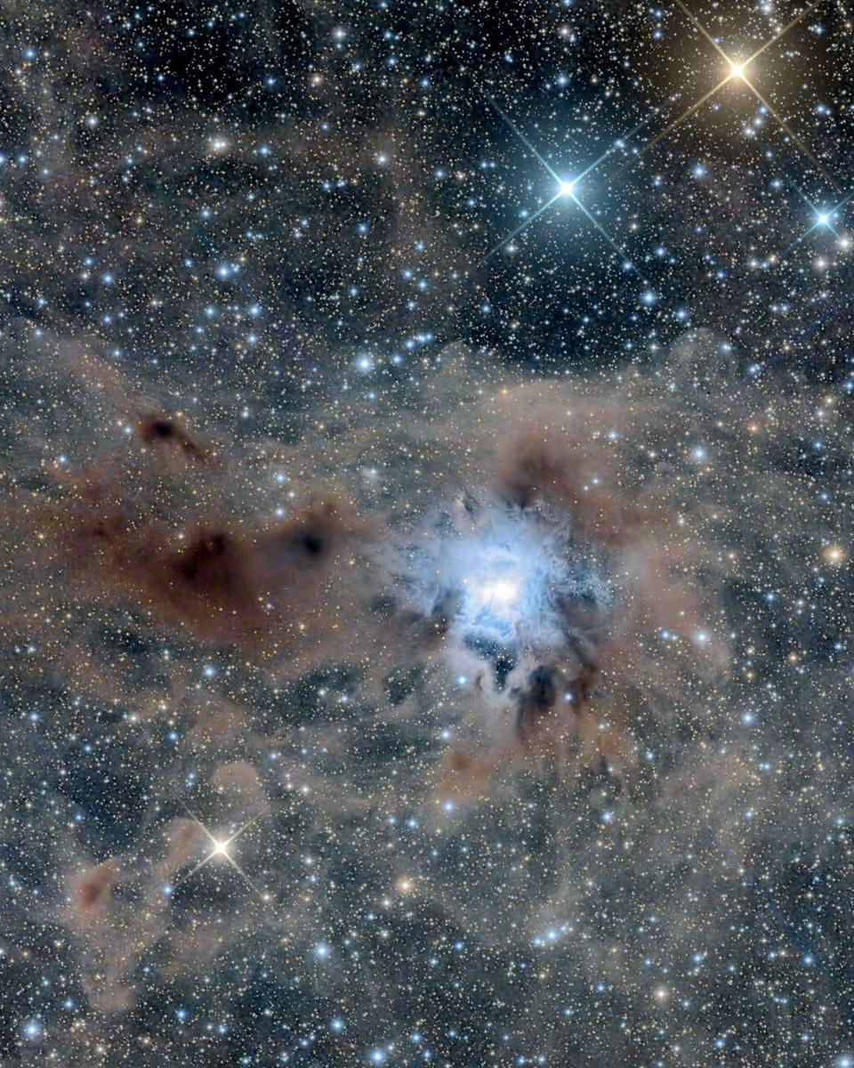 The Iris Nebula in a Field of Dust
