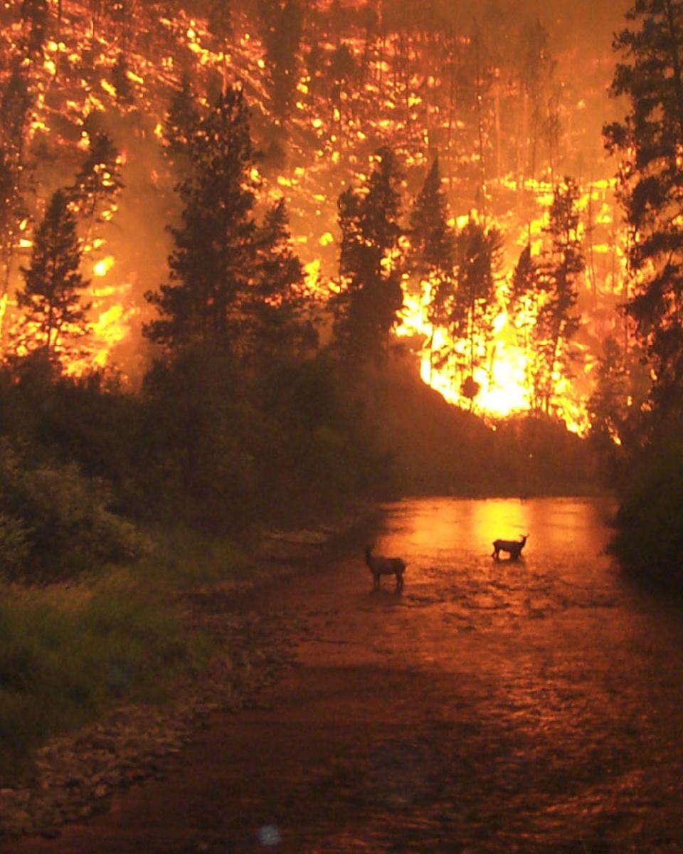 Fire on Earth
