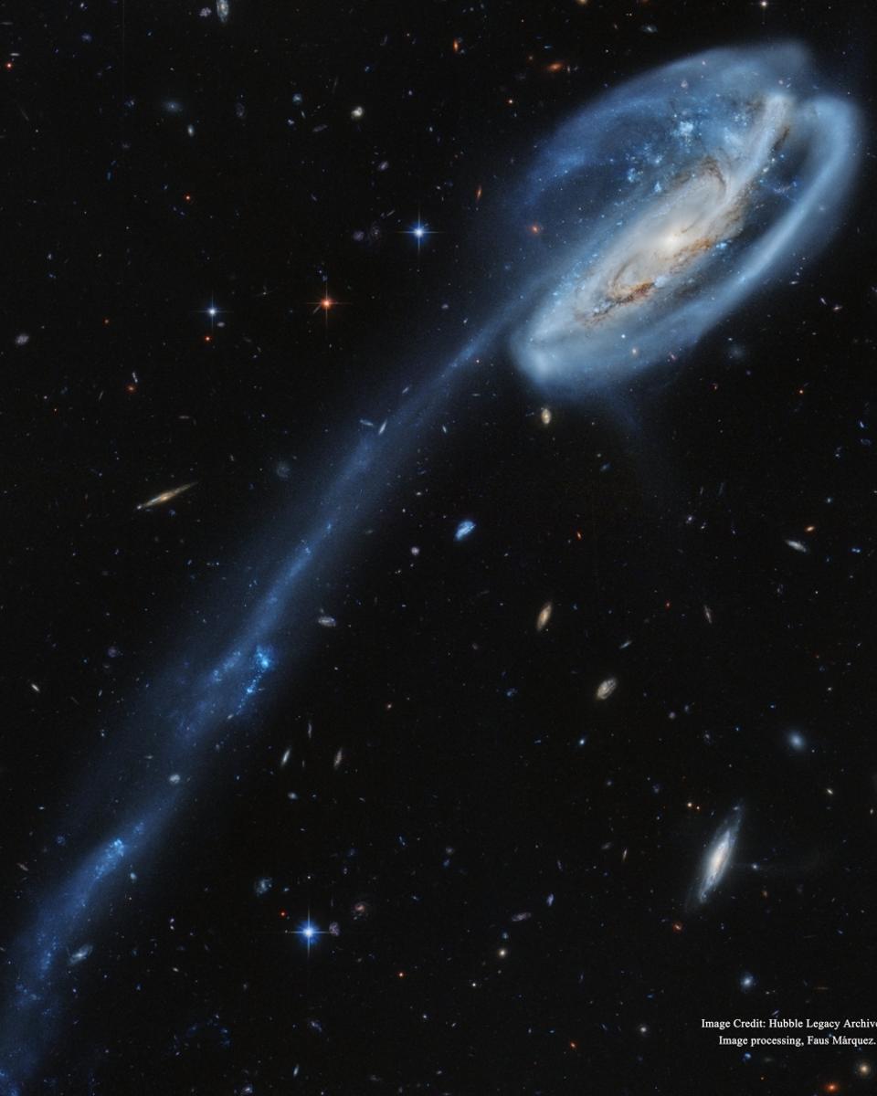 Arp 188 and the Tadpole's Tail