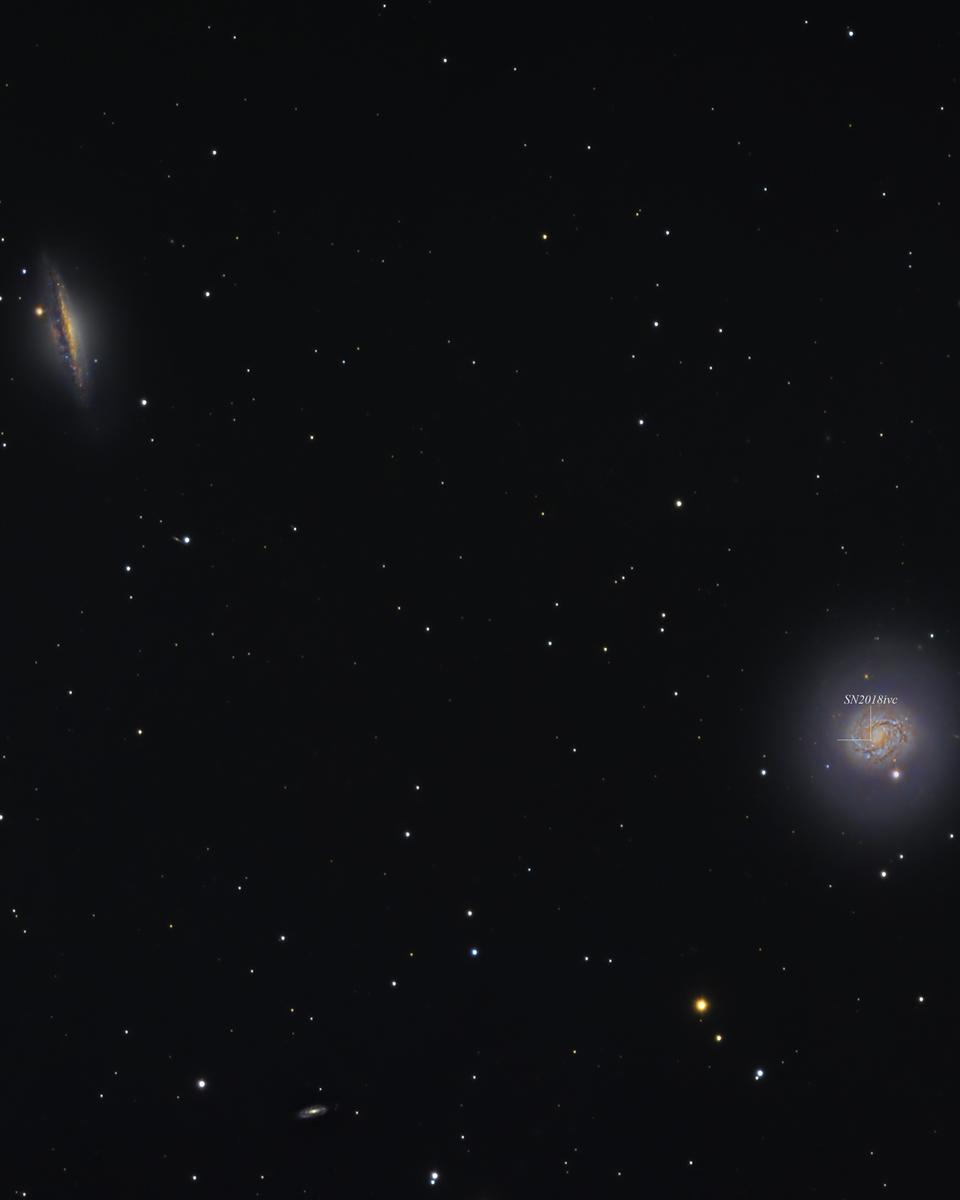 Cetus Galaxies and Supernova