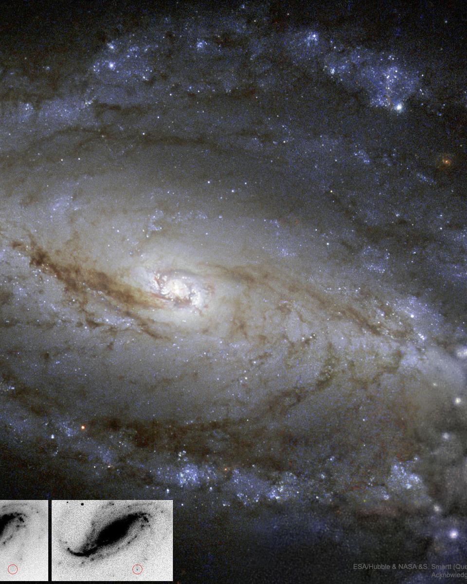 NGC 613 in Dust, Stars, and a Supernova
