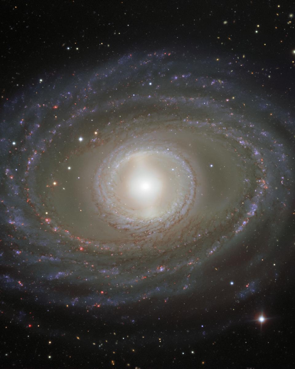 Ribbons and Pearls of Spiral Galaxy NGC 1398