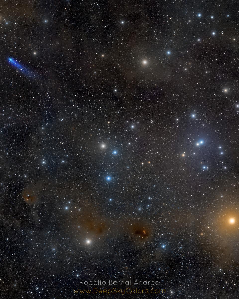 Blue Comet in the Hyades