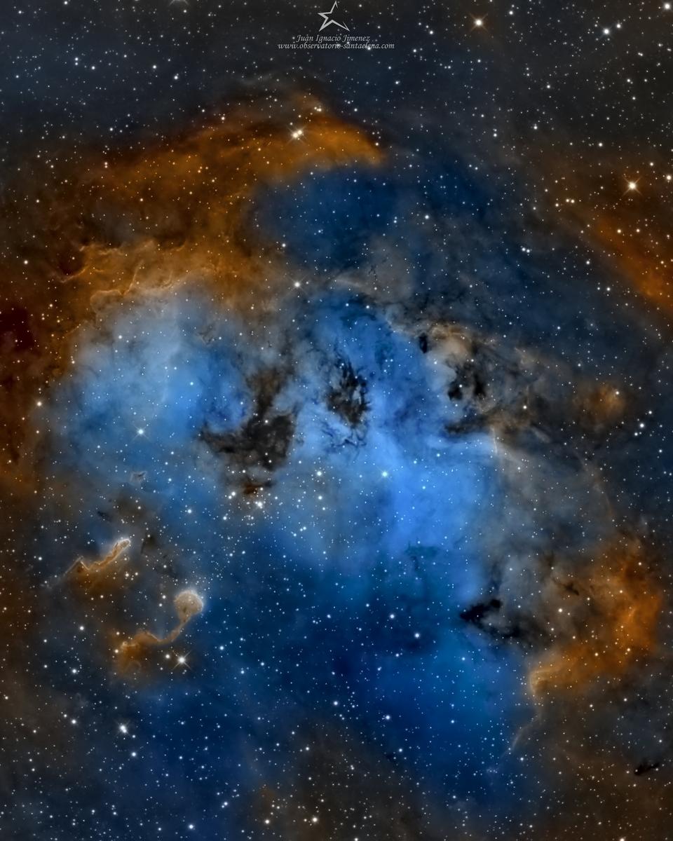 The Tadpoles of IC 410
