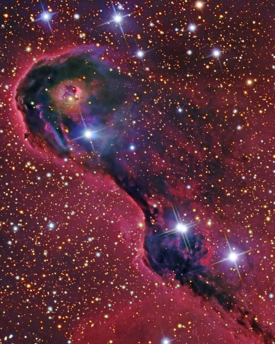 An Elephant's Trunk in Cepheus