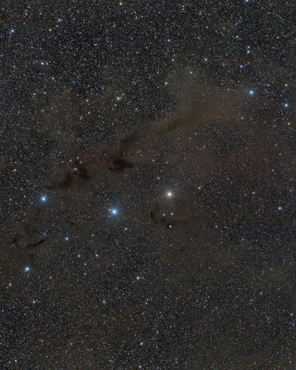 Barnard 228: The Dark Wolf Nebula in Lupus